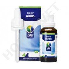 Puur Auris Ohrtropfen